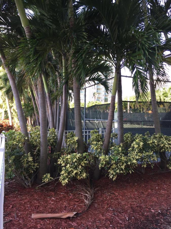 Disfruta Sunny Isles Ocean 1206 Str-02816 Miami Beach Exterior foto